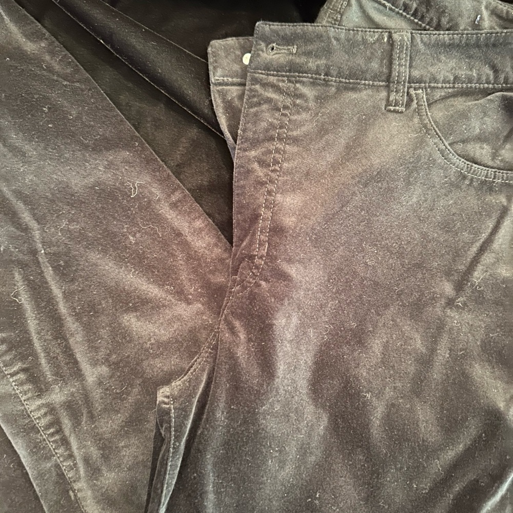 Talbots BLACK VELVET Jeans